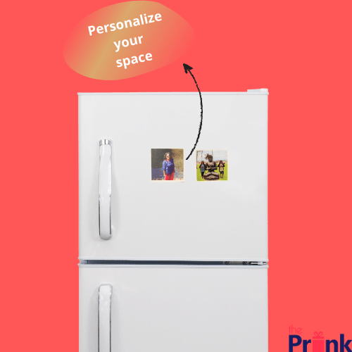 Photo/Fridge Magnets - The Prink